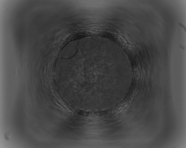 X0000093121009200709261324