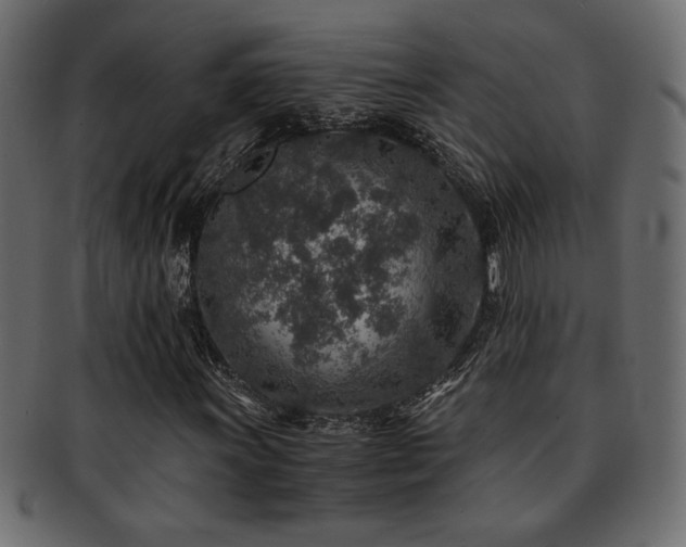 X0000093121011200709261324