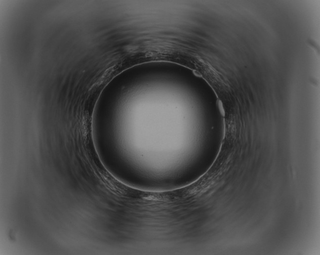 X0000093121012200709261324