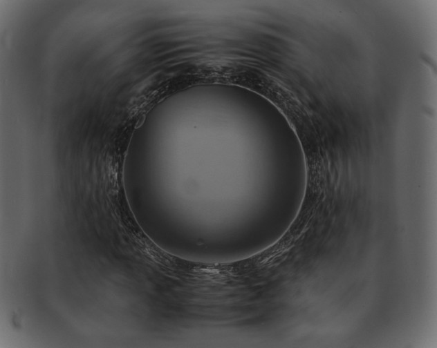 X0000093121013200709261324