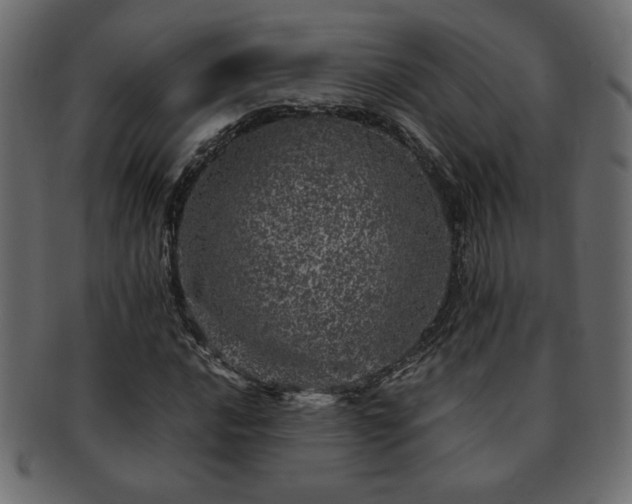 X0000093121016200709261324