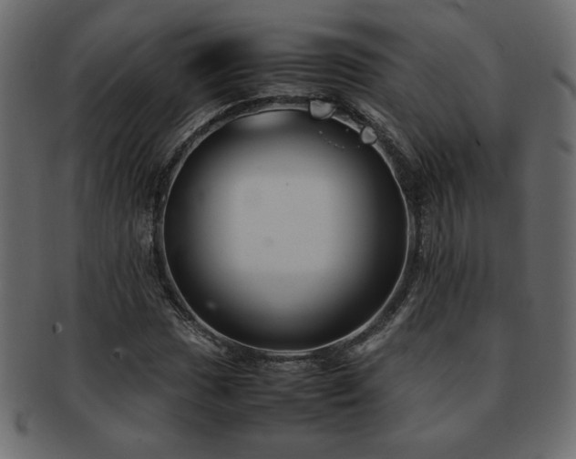 X0000093121017200709261324