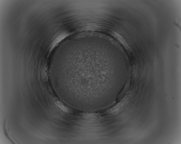 X0000093121018200709261324