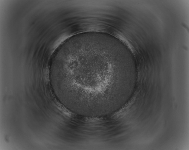 X0000093121019200709261324