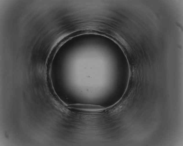 X0000093121020200709261324