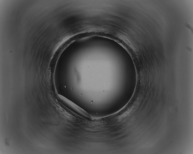 X0000093121021200709261324