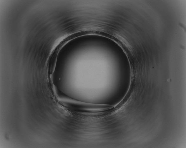 X0000093121022200709261324