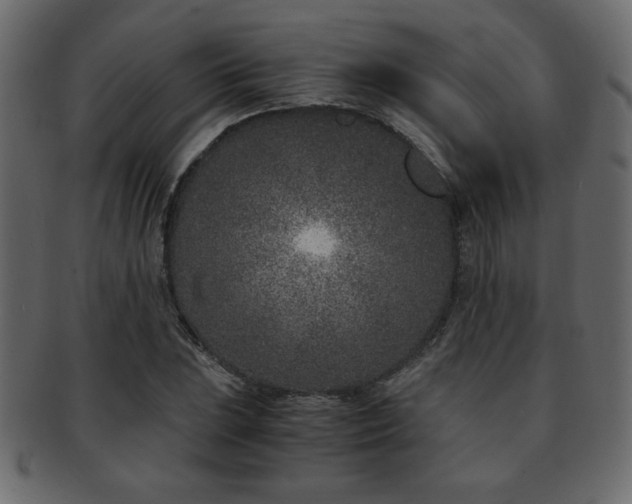 X0000093121023200709261324
