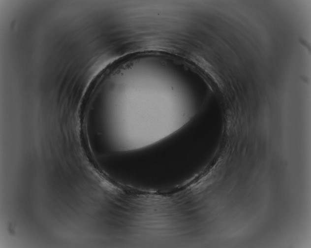 X0000093121024200709261324