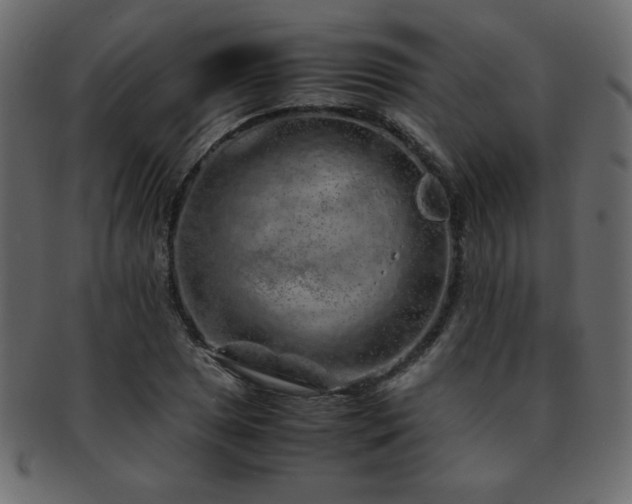 X0000093121025200709261324