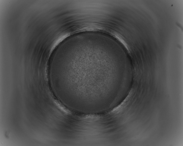 X0000093121026200709261324