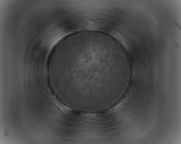 X0000093121027200709261324
