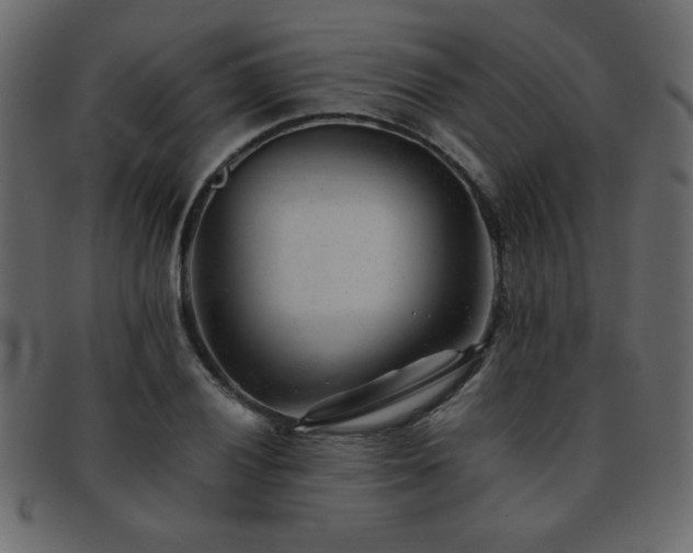 X0000093121028200709261324