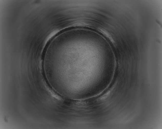 X0000093121029200709261324