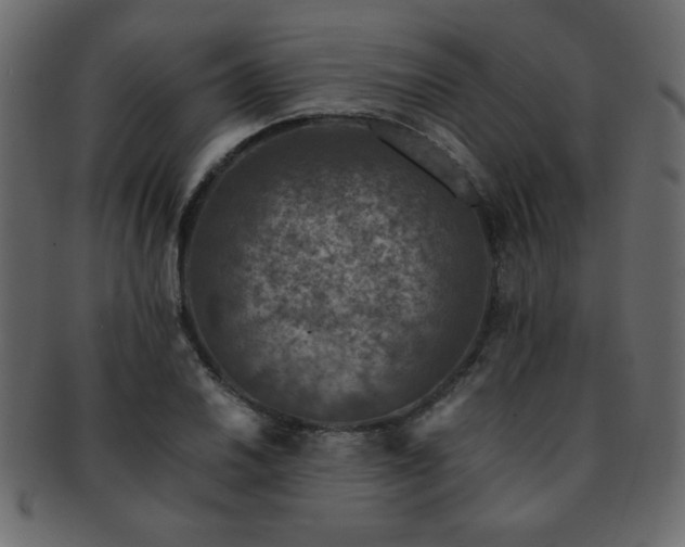 X0000093121030200709261324