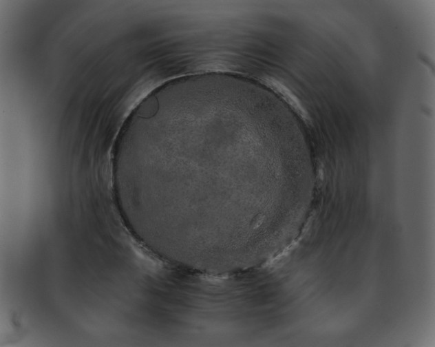 X0000093121031200709261324