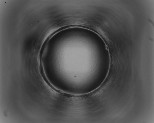 X0000093121032200709261324