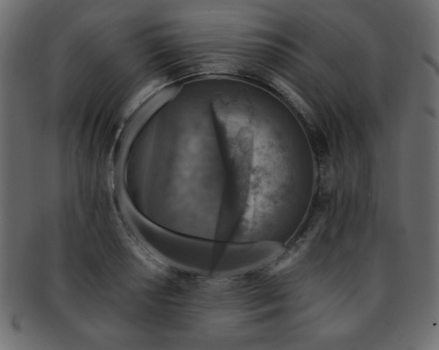 X0000093121034200709261324