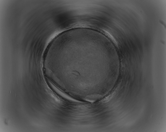 X0000093121035200709261324