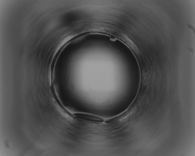 X0000093121036200709261324