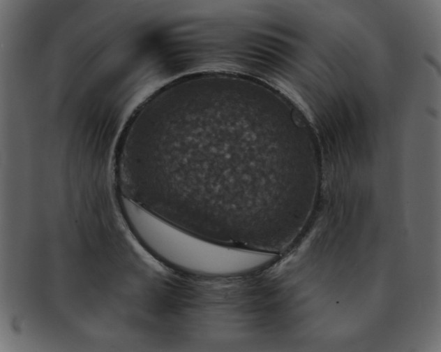 X0000093121037200709261324
