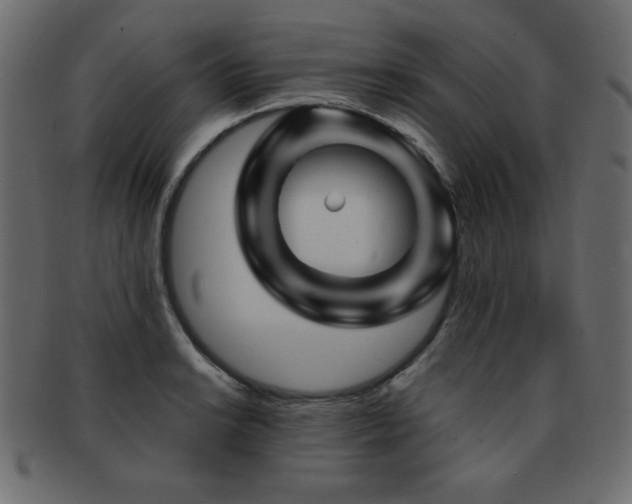 X0000093121038200709261324