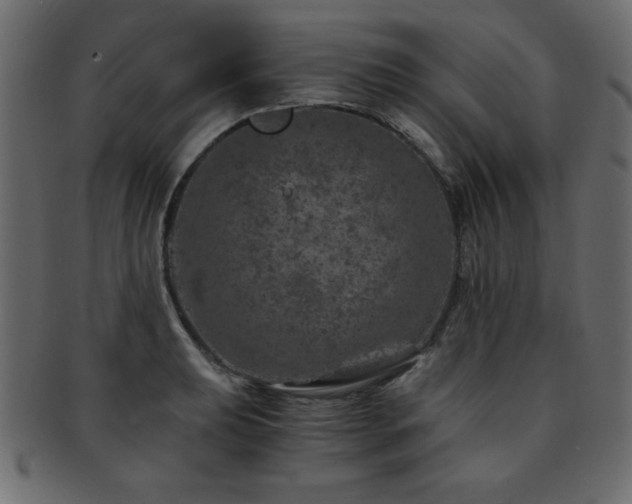 X0000093121039200709261324