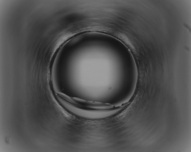 X0000093121040200709261324