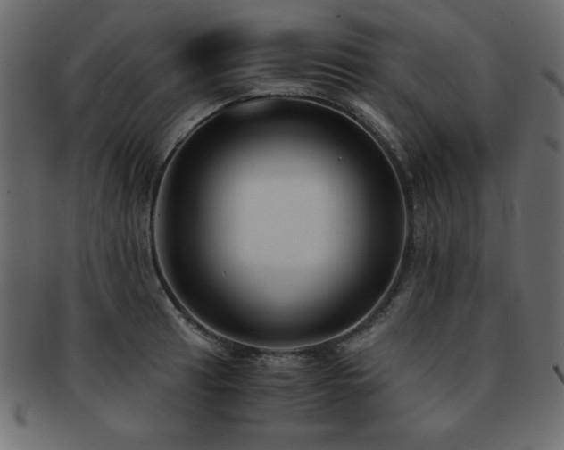 X0000093121041200709261324