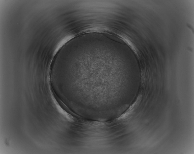 X0000093121042200709261324