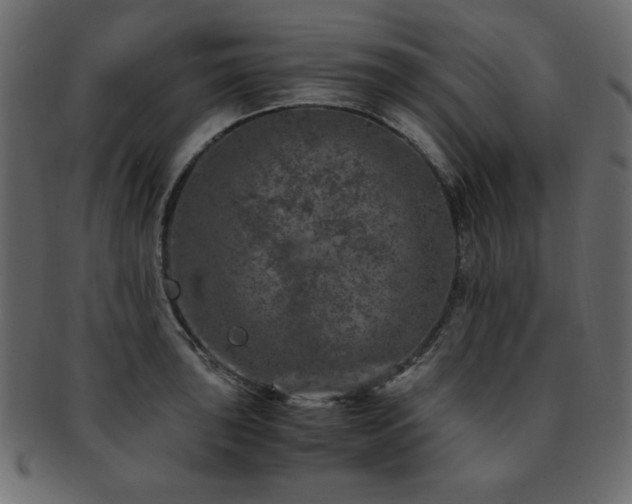 X0000093121043200709261324