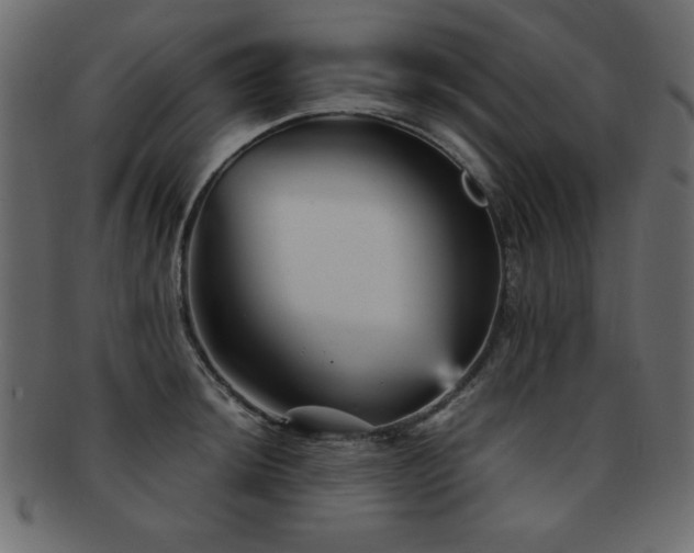 X0000093121044200709261324