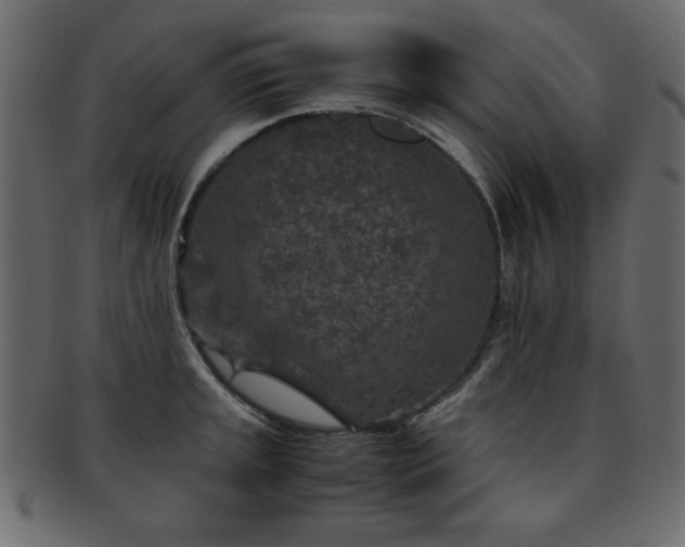 X0000093121045200709261324