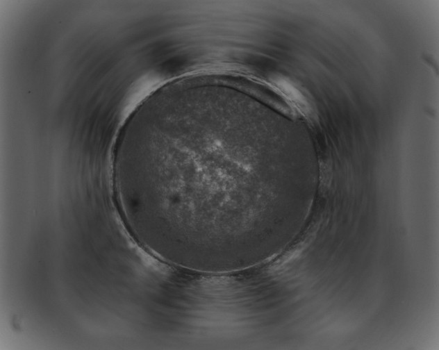 X0000093121046200709261324