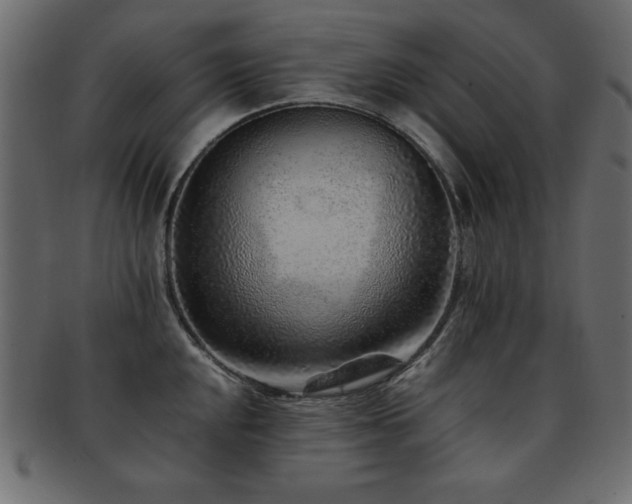 X0000093121048200709261324