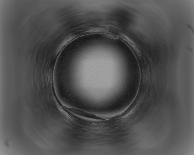 X0000093121049200709261324