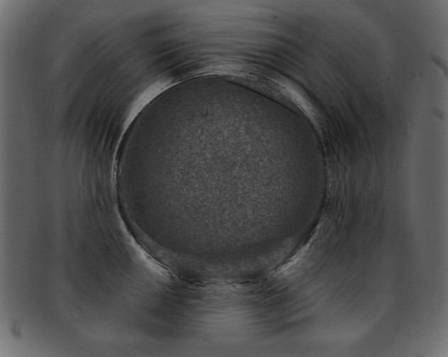 X0000093121050200709261324