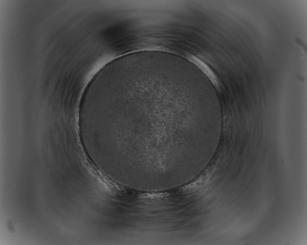 X0000093121051200709261324