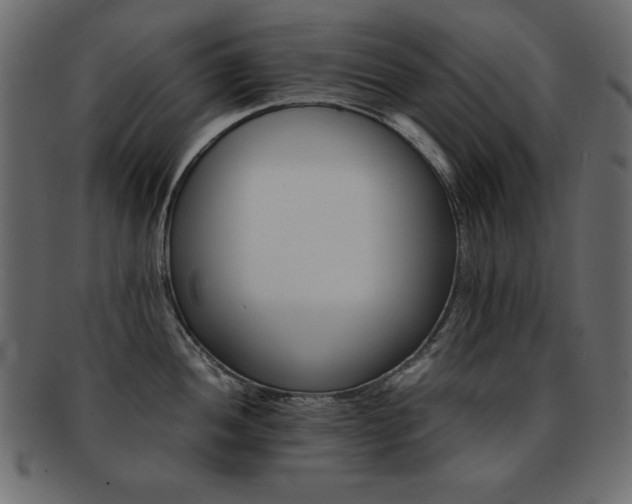 X0000093121052200709261324