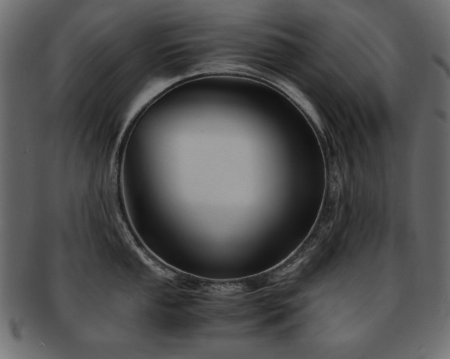 X0000093121053200709261324