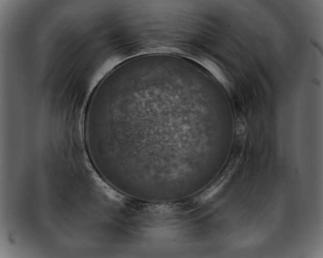 X0000093121054200709261324