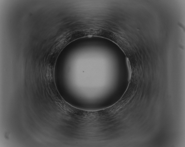 X0000093121058200709261323