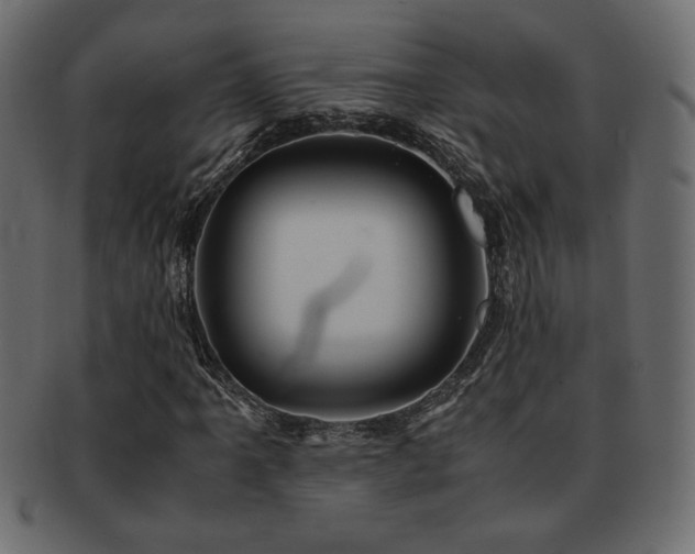 X0000093121061200709261323