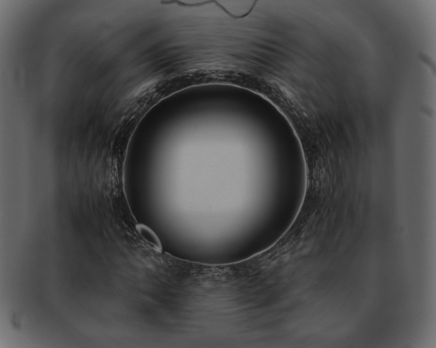 X0000093121062200709261323