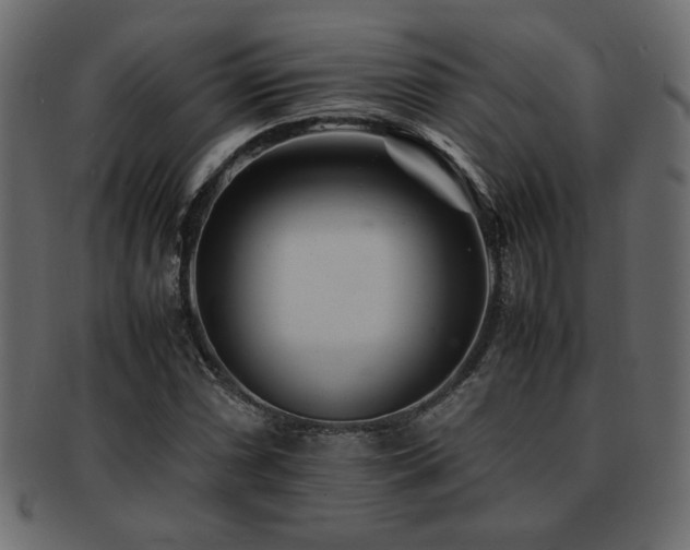 X0000093121066200709261323