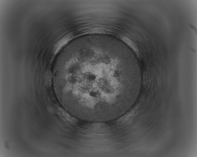 X0000093121067200709261323