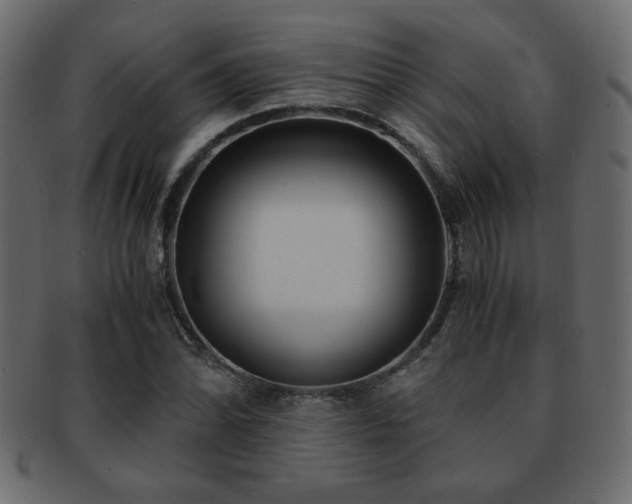 X0000093121070200709261323