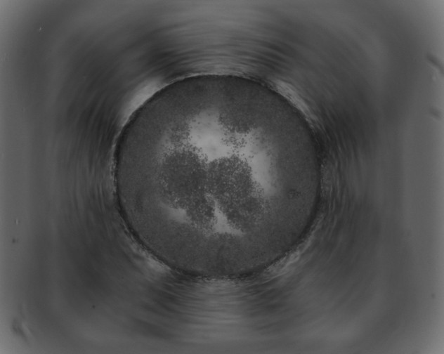 X0000093121071200709261323