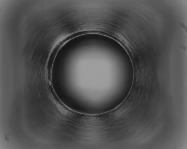 X0000093121072200709261323