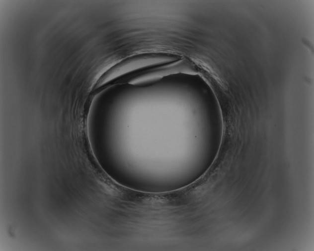 X0000093121073200709261323
